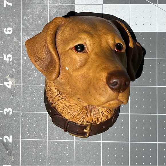 Bosson Chalkware Head Hand Painted England 1968 Golden Labrador Retriever - Picture 5 of 10